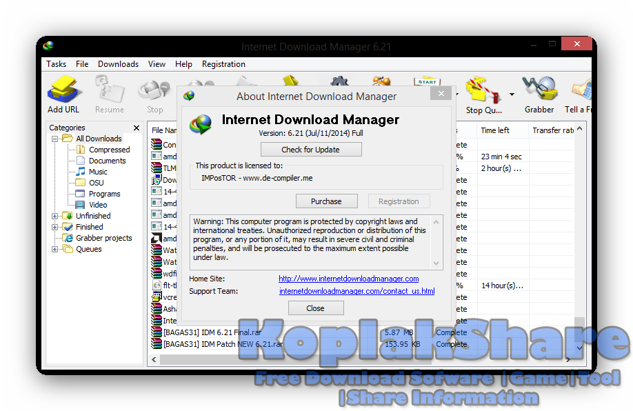 About Internet download manager